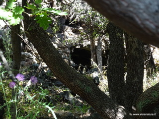 Grotta delle Fate